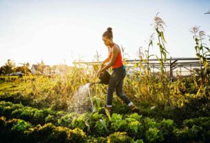 Fantastic Gardening