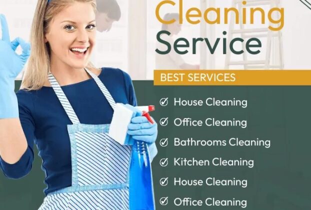 house cleaner
